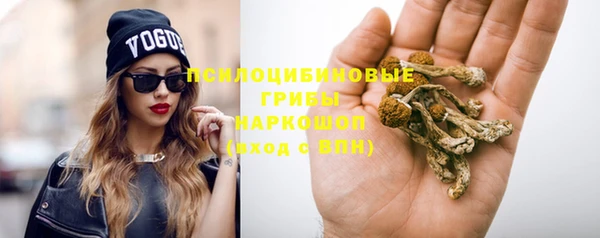 a pvp Армянск
