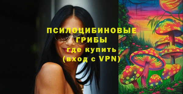ешки Аркадак